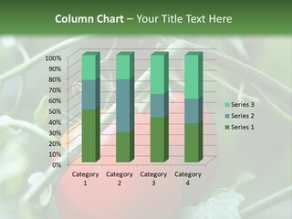 Close Solar Plant PowerPoint Template