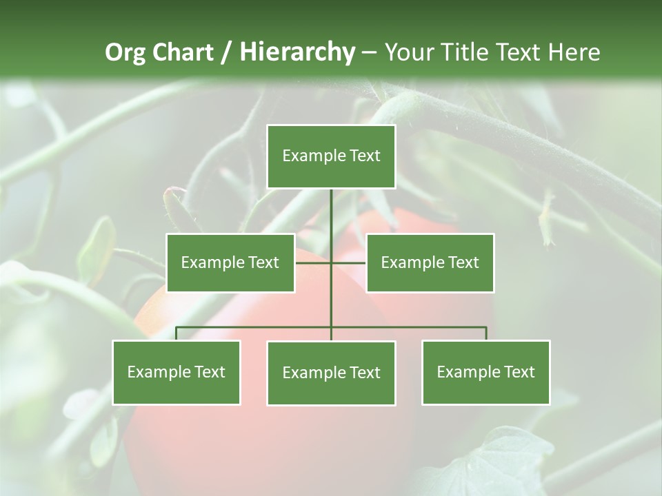 Close Solar Plant PowerPoint Template