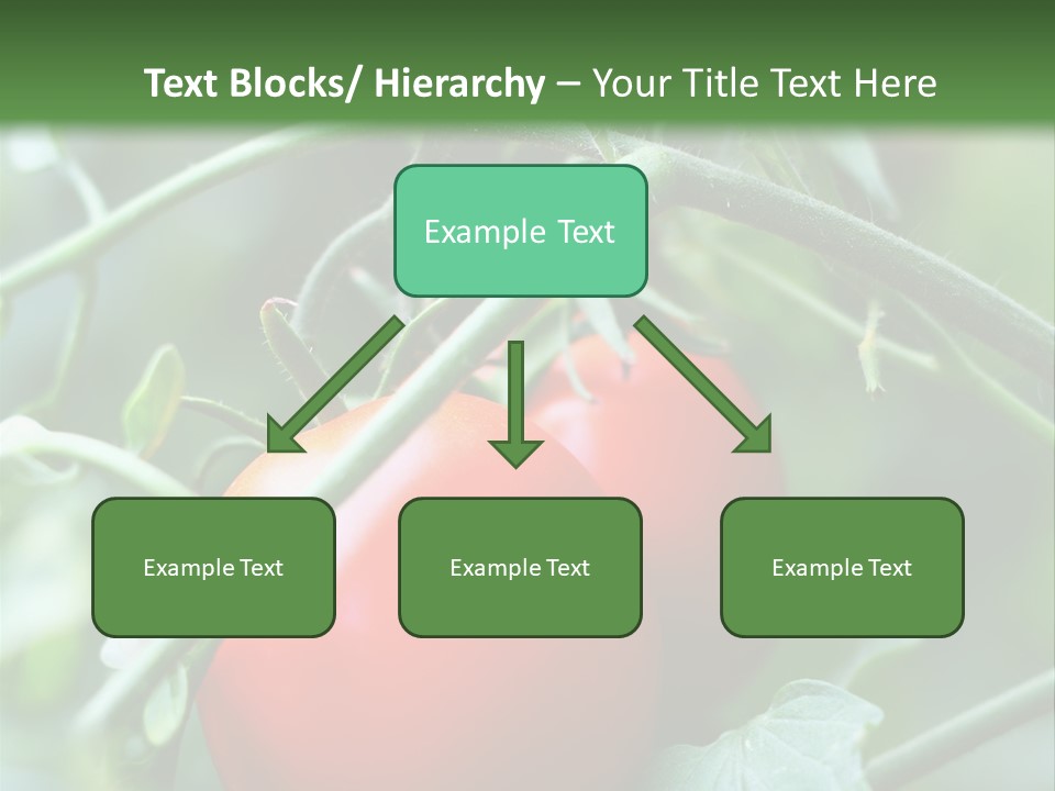 Close Solar Plant PowerPoint Template