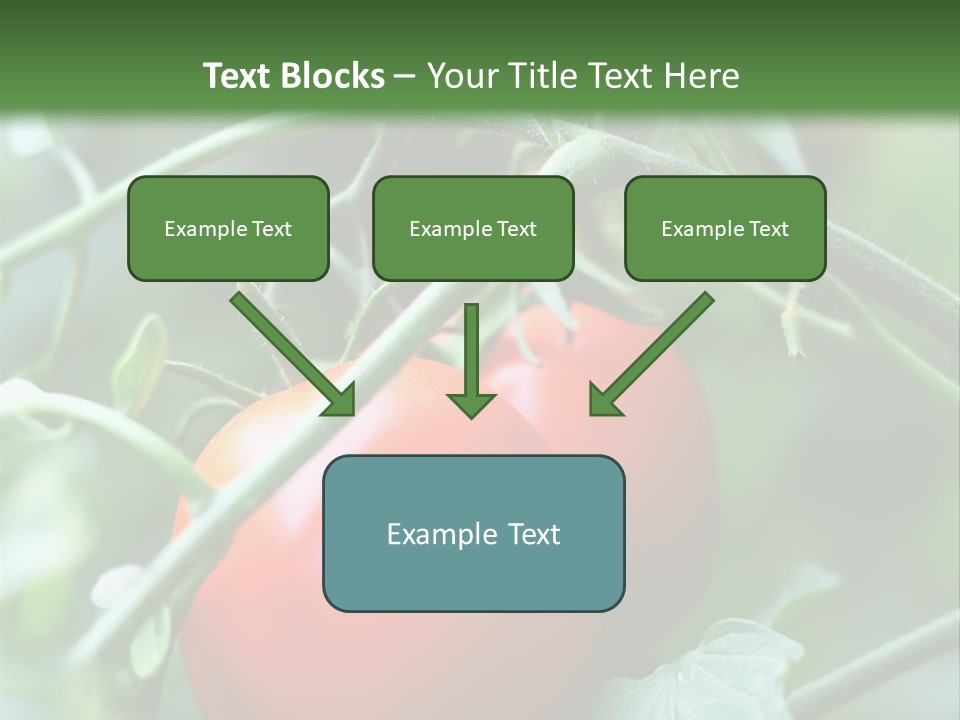 Close Solar Plant PowerPoint Template