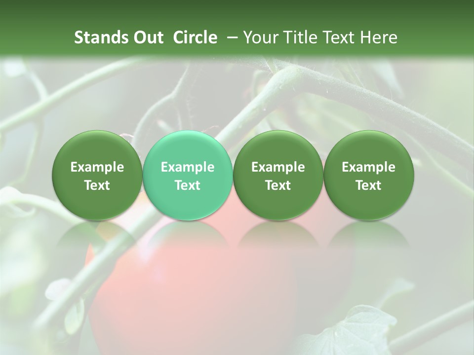 Close Solar Plant PowerPoint Template