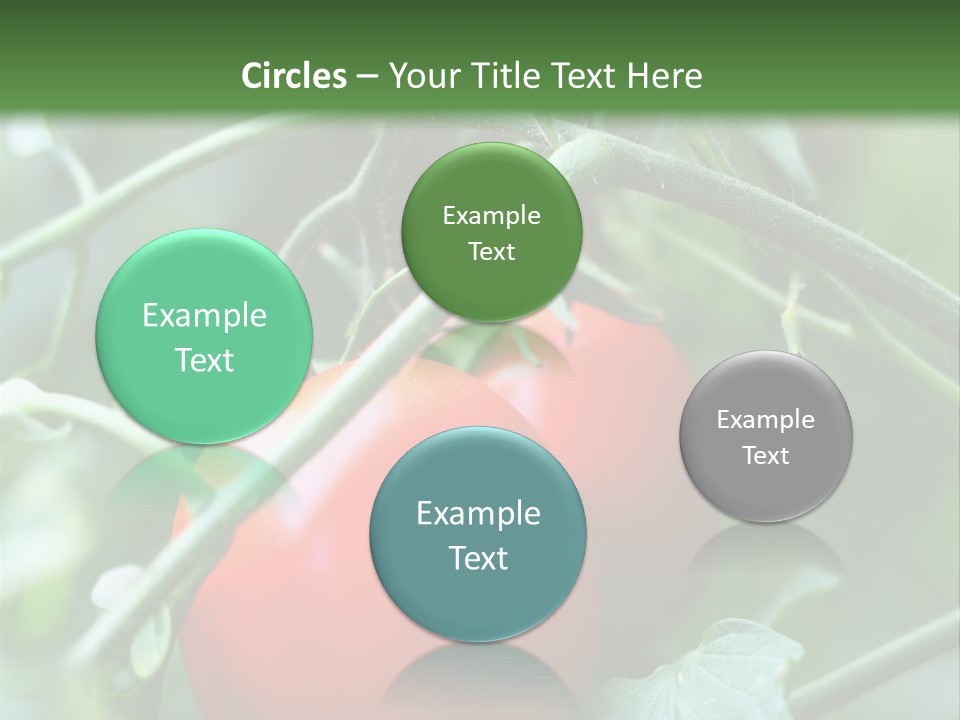 Close Solar Plant PowerPoint Template