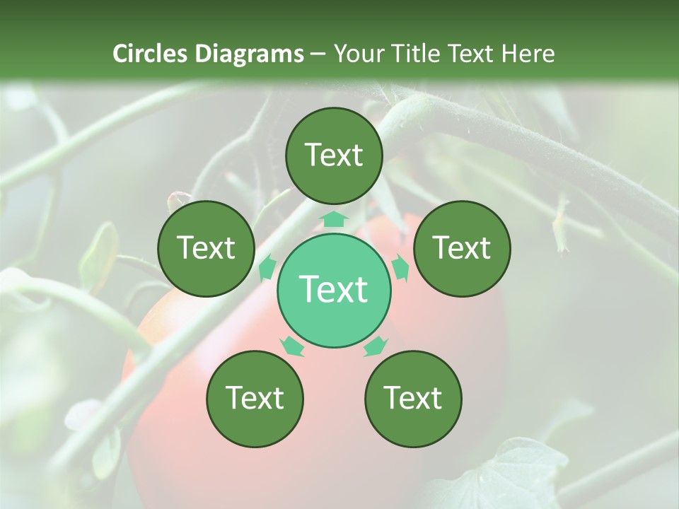 Close Solar Plant PowerPoint Template