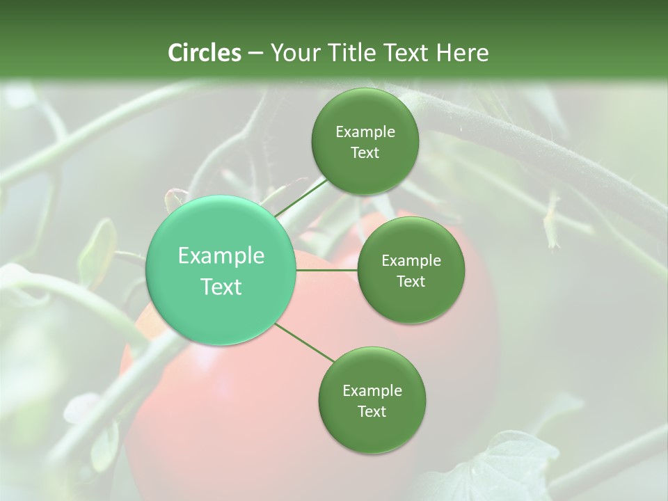 Close Solar Plant PowerPoint Template