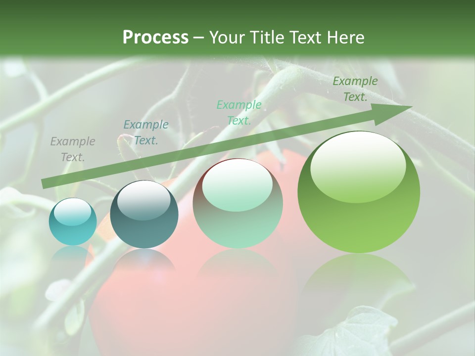 Close Solar Plant PowerPoint Template