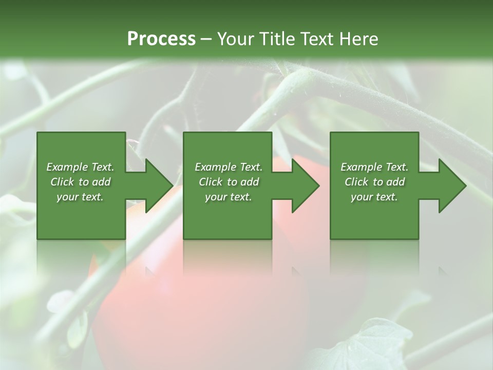 Close Solar Plant PowerPoint Template