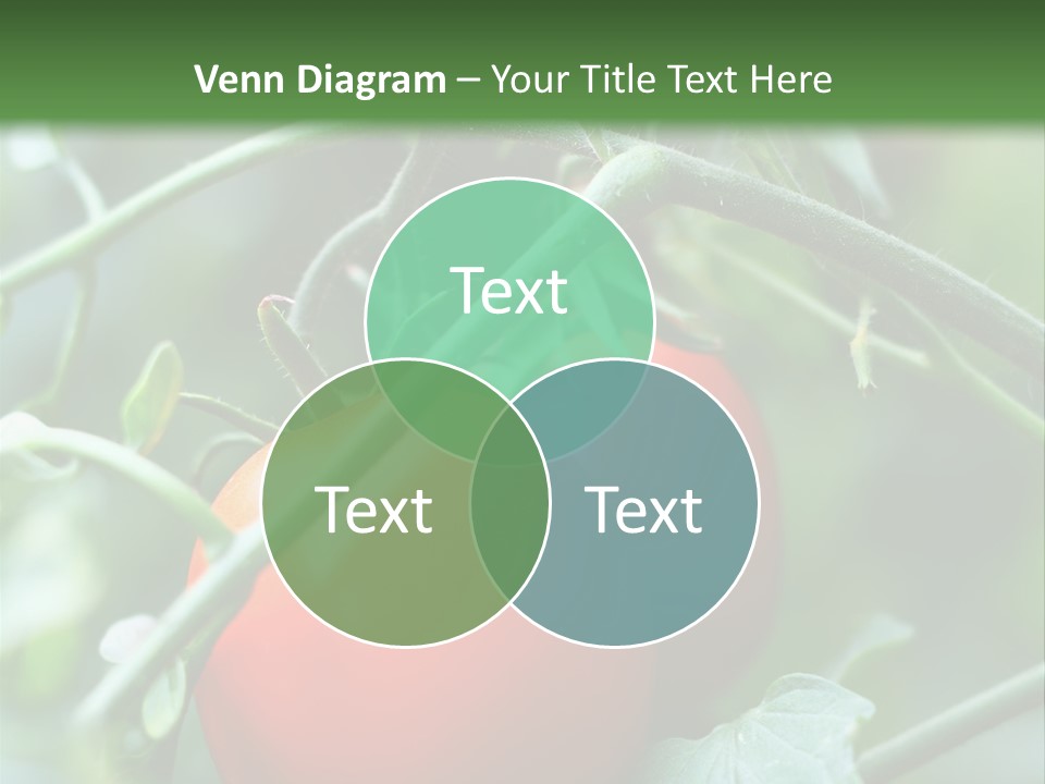 Close Solar Plant PowerPoint Template