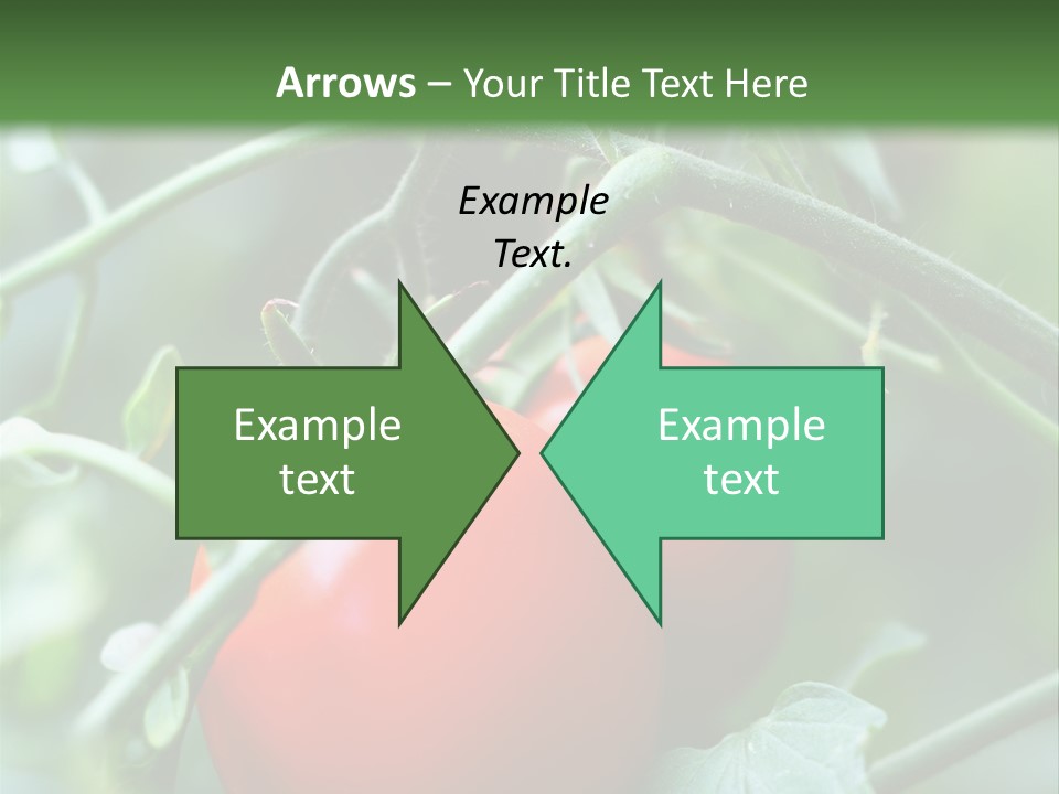 Close Solar Plant PowerPoint Template