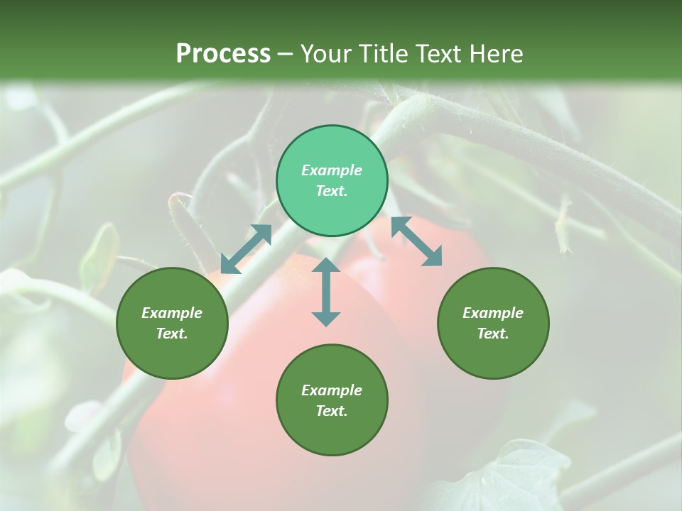 Close Solar Plant PowerPoint Template