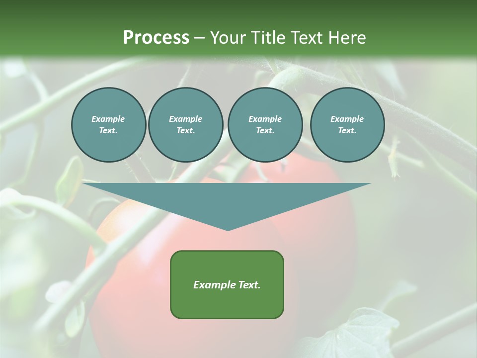 Close Solar Plant PowerPoint Template