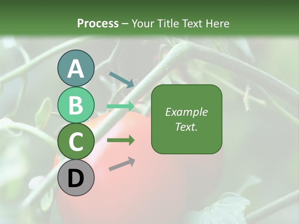 Close Solar Plant PowerPoint Template