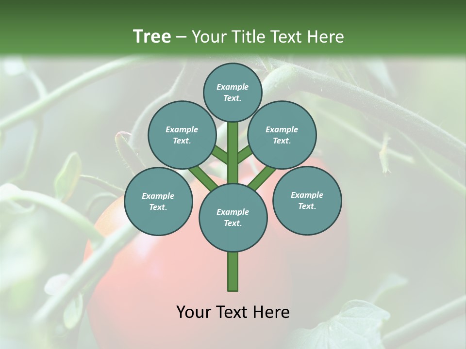 Close Solar Plant PowerPoint Template