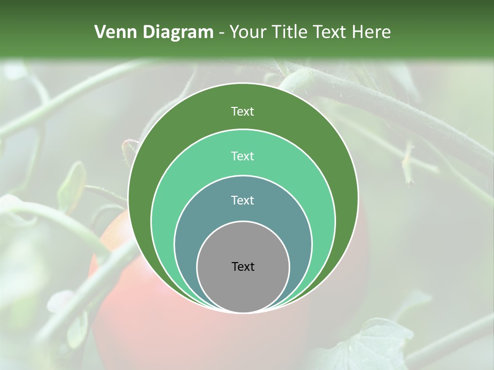 Close Solar Plant PowerPoint Template