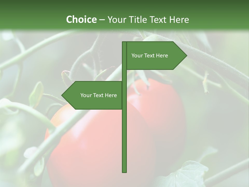 Close Solar Plant PowerPoint Template