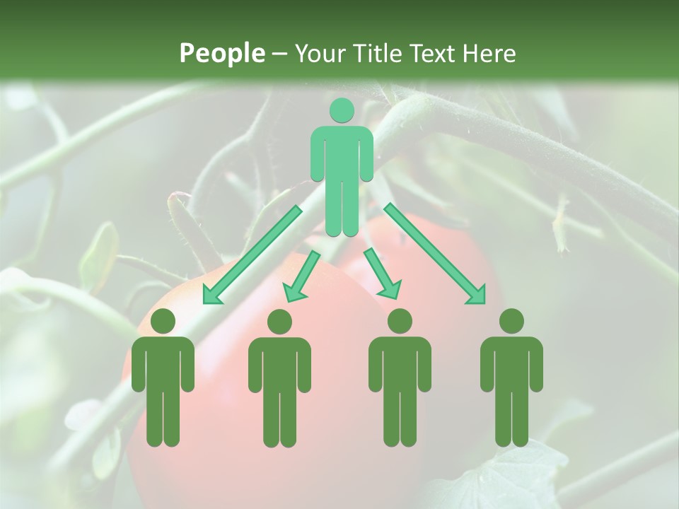 Close Solar Plant PowerPoint Template