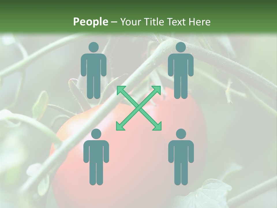 Close Solar Plant PowerPoint Template