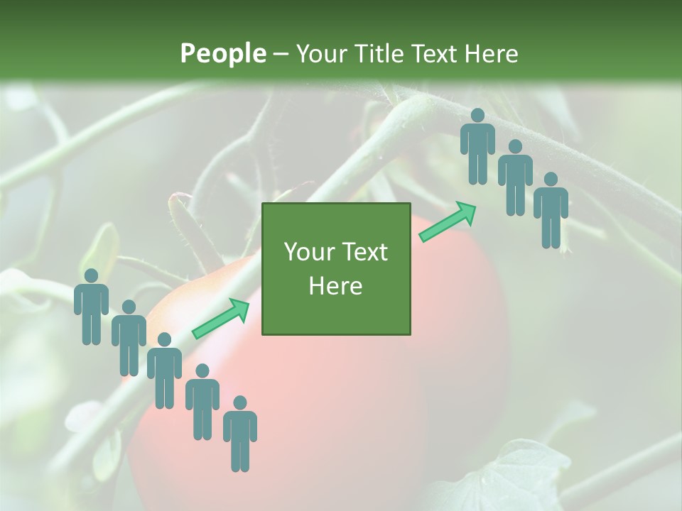 Close Solar Plant PowerPoint Template