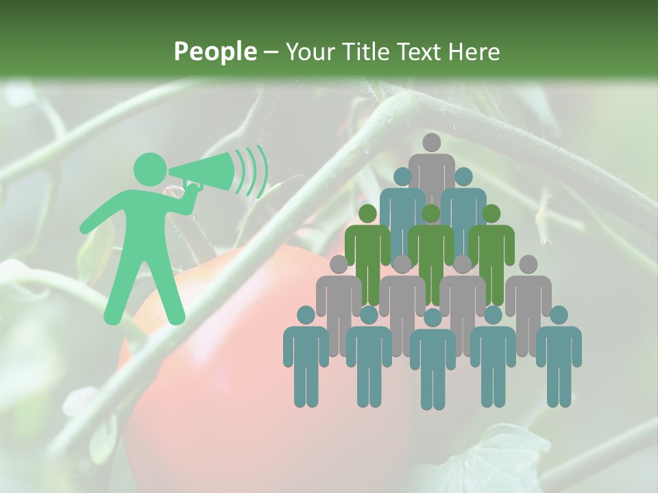 Close Solar Plant PowerPoint Template