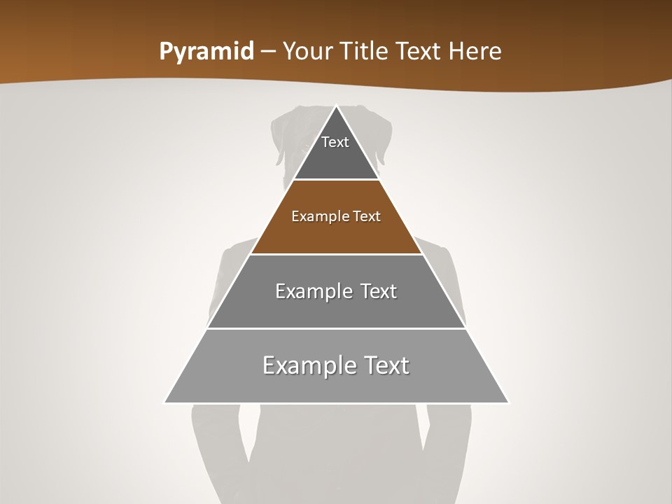 Coat Garment White PowerPoint Template