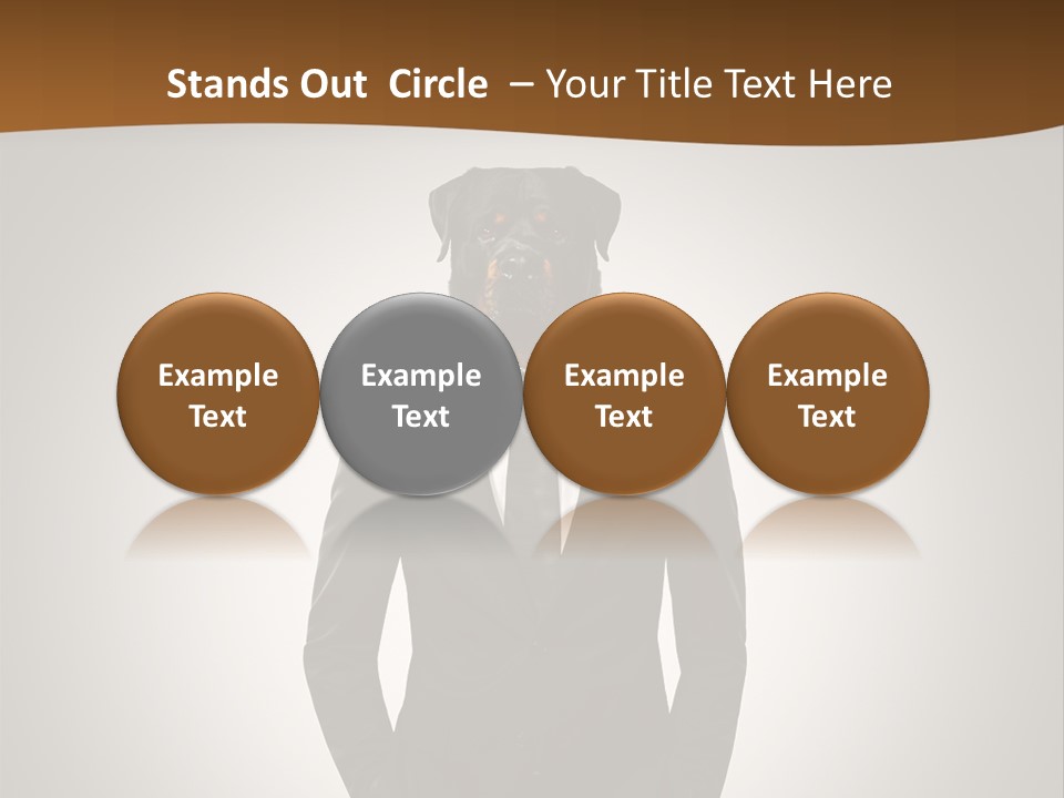 Coat Garment White PowerPoint Template