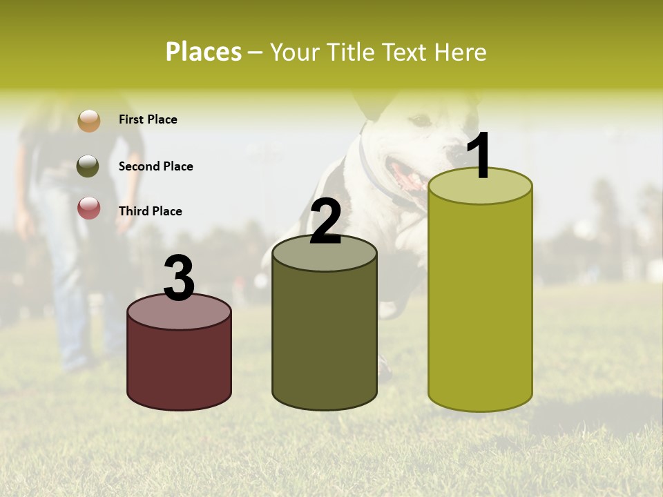 Green Activity Sunlight PowerPoint Template