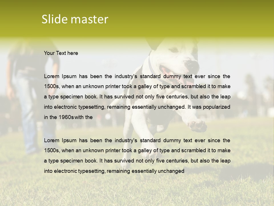 Green Activity Sunlight PowerPoint Template