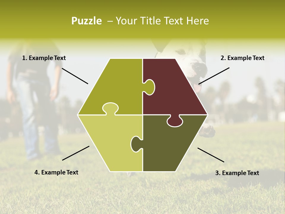 Green Activity Sunlight PowerPoint Template