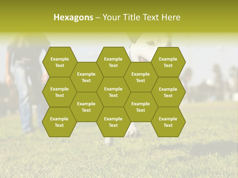 Green Activity Sunlight PowerPoint Template