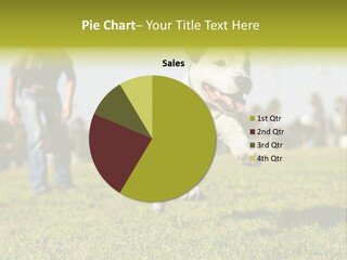 Green Activity Sunlight PowerPoint Template