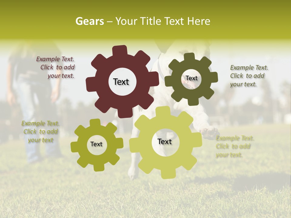 Green Activity Sunlight PowerPoint Template