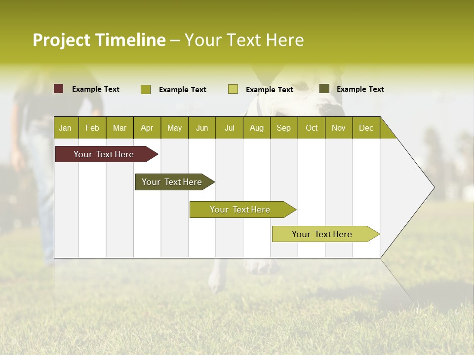 Green Activity Sunlight PowerPoint Template