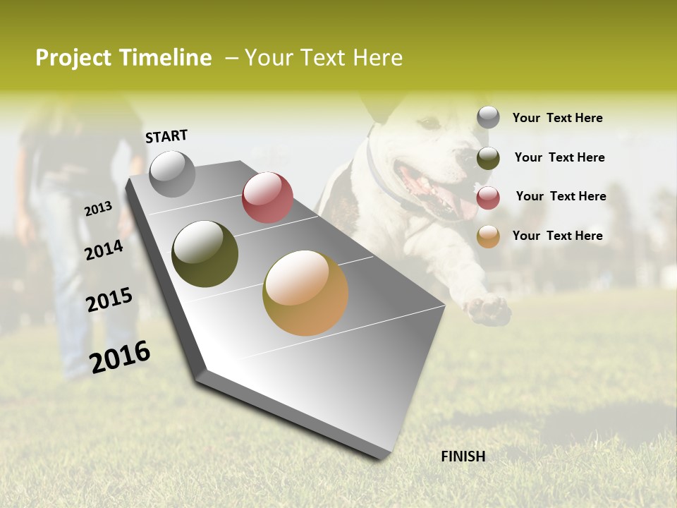 Green Activity Sunlight PowerPoint Template