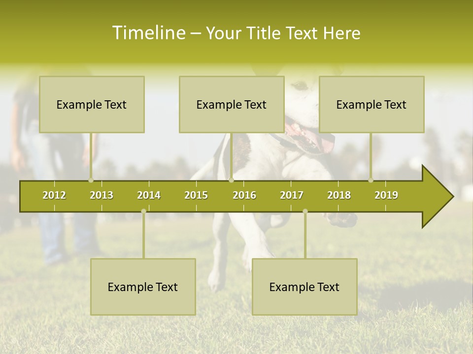 Green Activity Sunlight PowerPoint Template