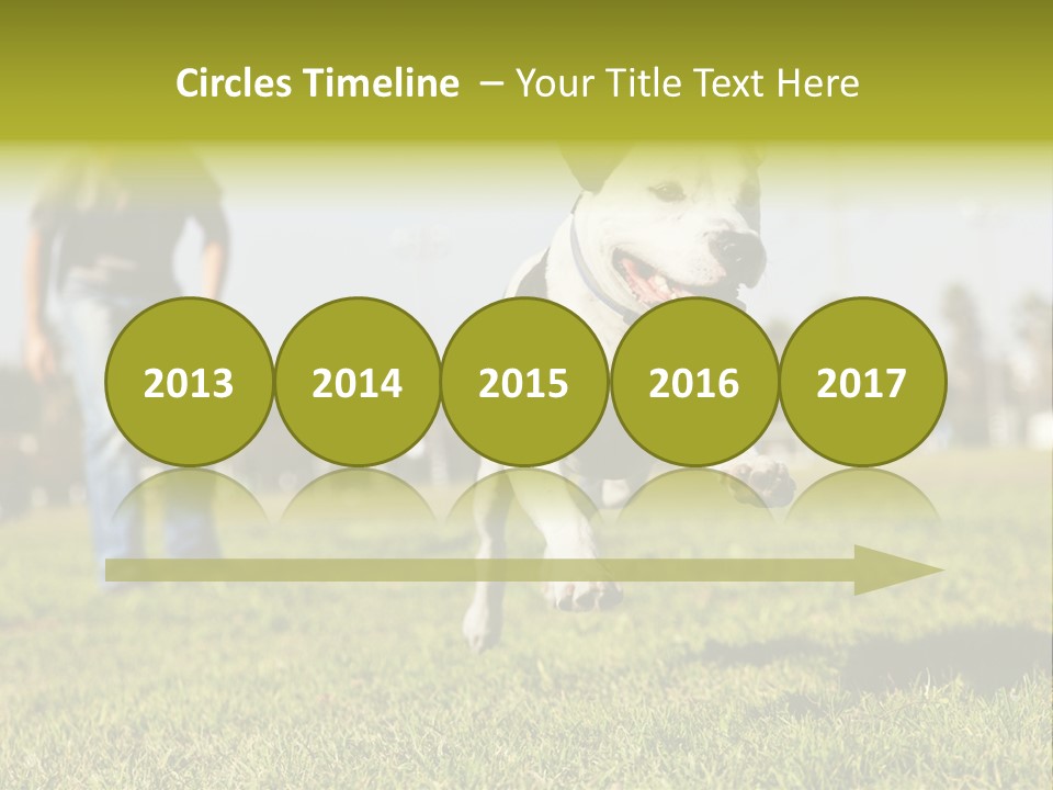 Green Activity Sunlight PowerPoint Template