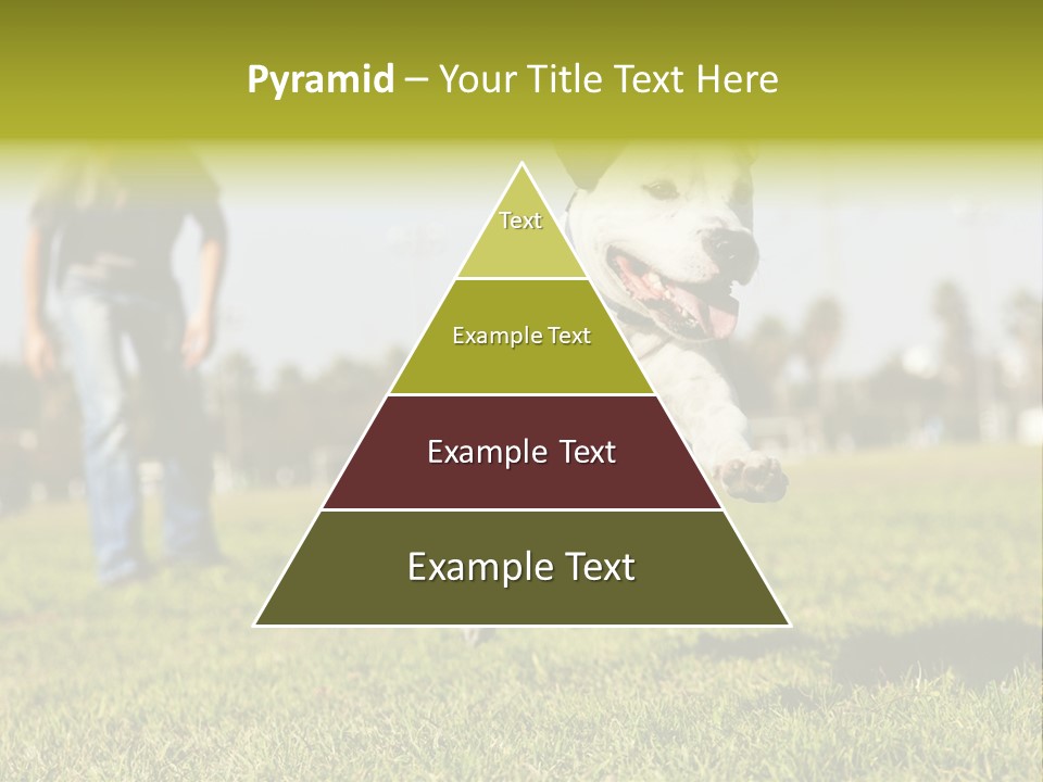 Green Activity Sunlight PowerPoint Template