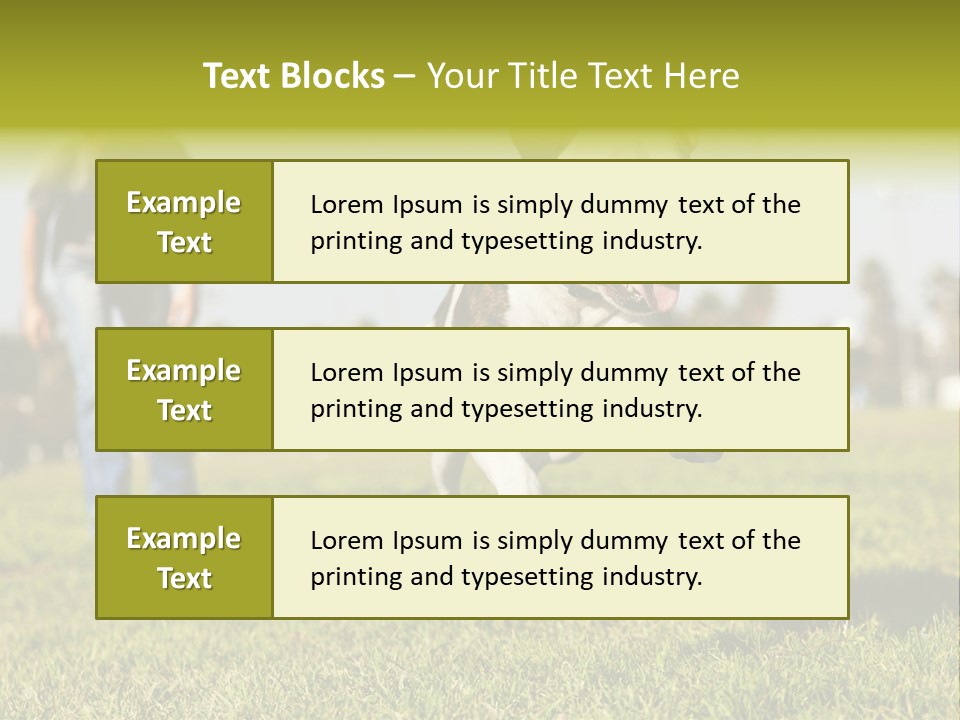 Green Activity Sunlight PowerPoint Template