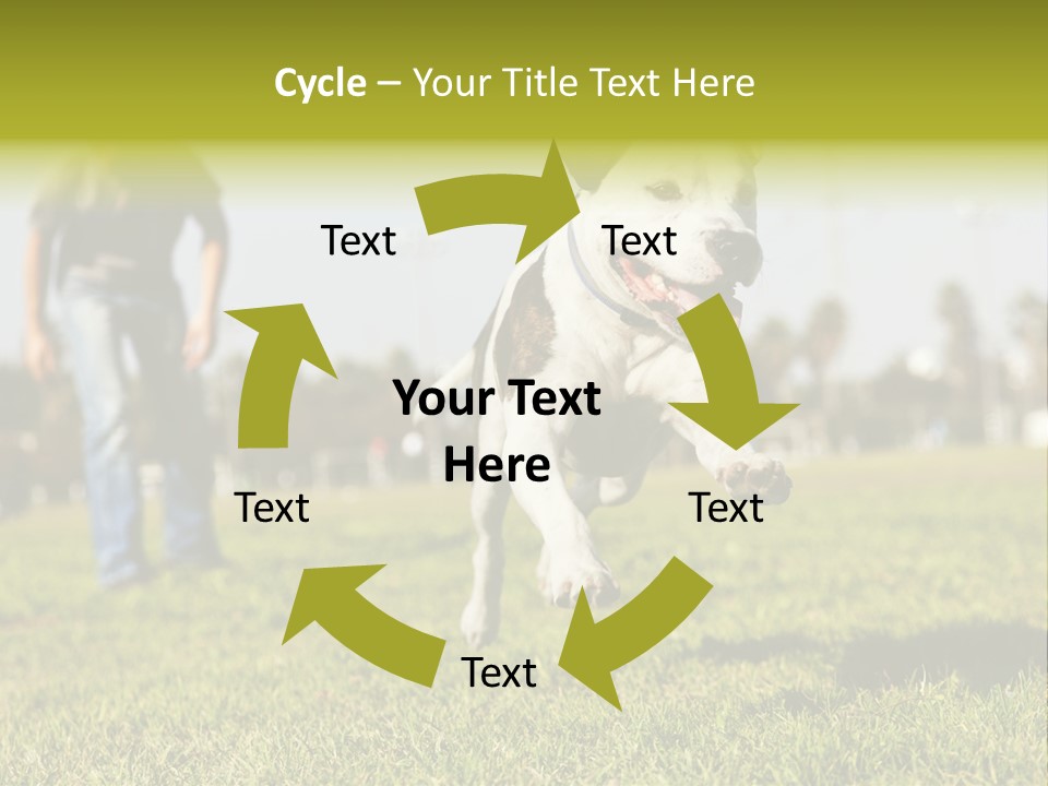 Green Activity Sunlight PowerPoint Template