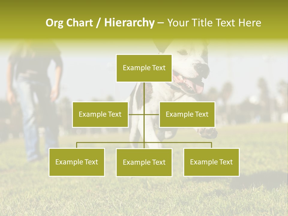 Green Activity Sunlight PowerPoint Template