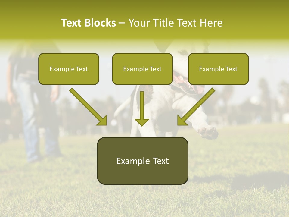 Green Activity Sunlight PowerPoint Template
