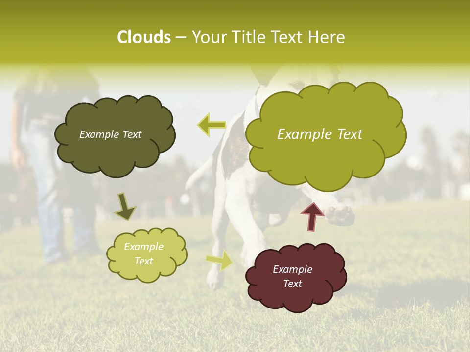 Green Activity Sunlight PowerPoint Template
