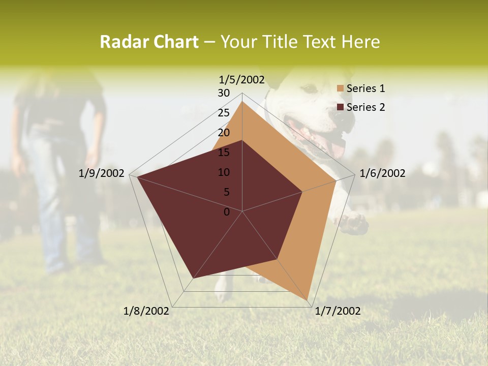 Green Activity Sunlight PowerPoint Template