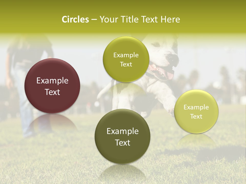 Green Activity Sunlight PowerPoint Template