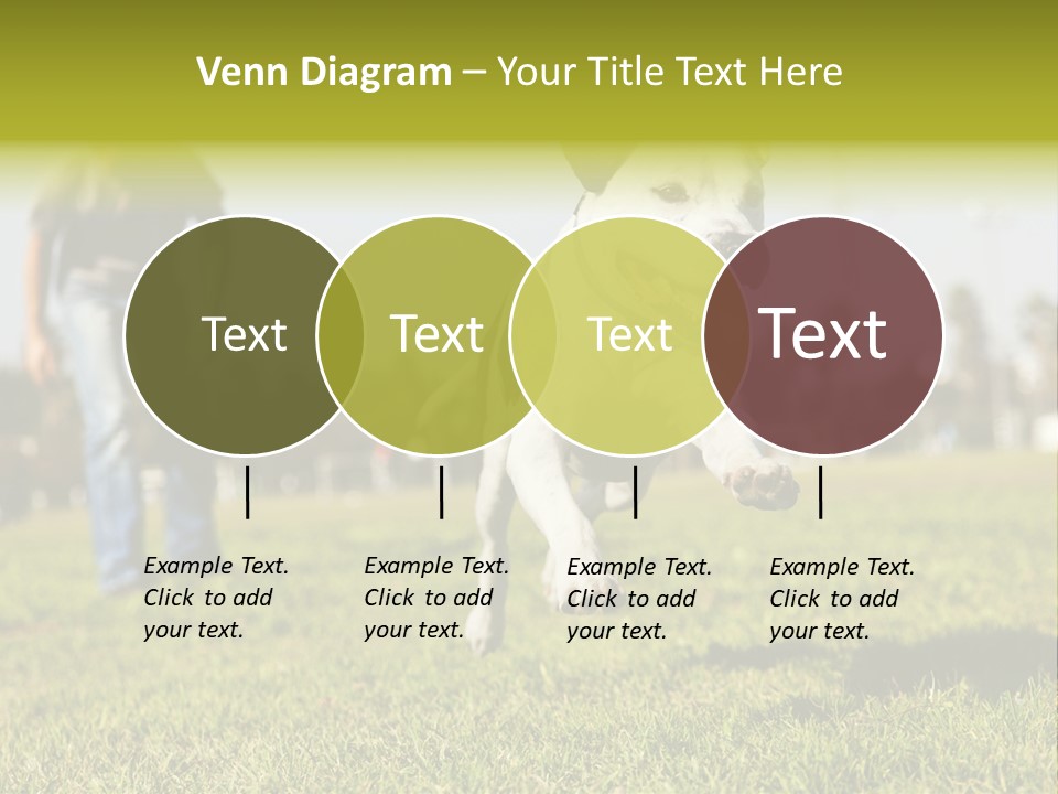 Green Activity Sunlight PowerPoint Template