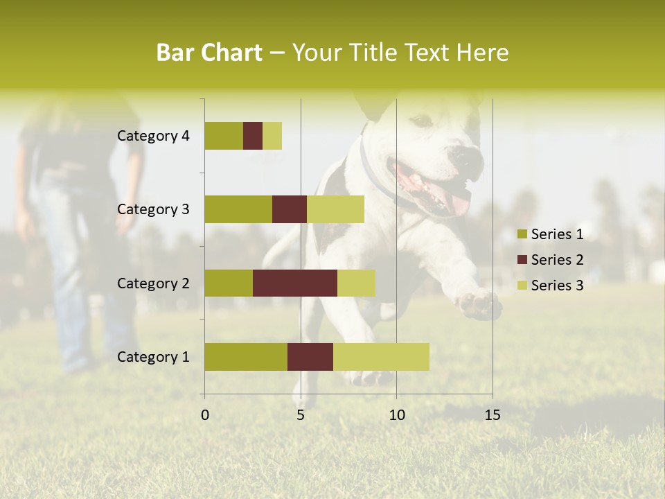Green Activity Sunlight PowerPoint Template