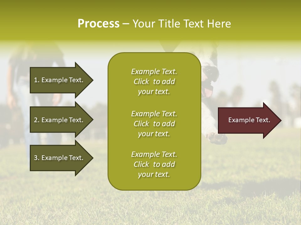 Green Activity Sunlight PowerPoint Template