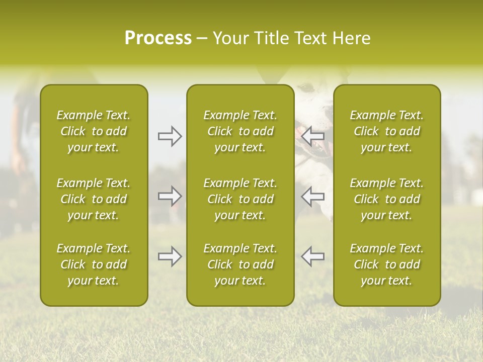 Green Activity Sunlight PowerPoint Template