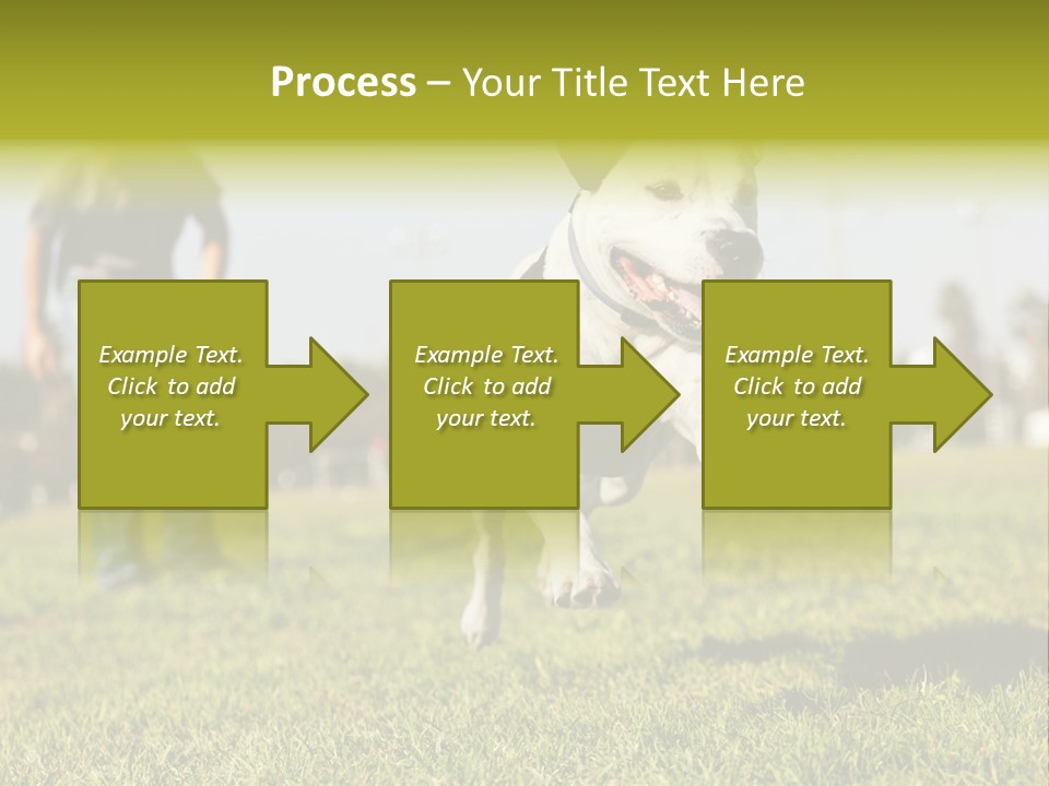 Green Activity Sunlight PowerPoint Template