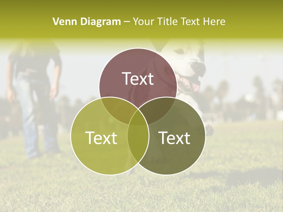 Green Activity Sunlight PowerPoint Template