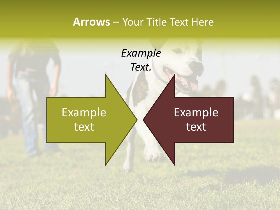Green Activity Sunlight PowerPoint Template