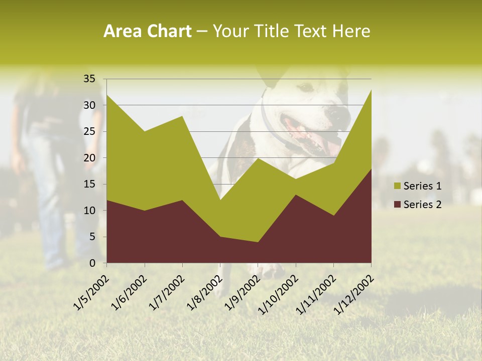 Green Activity Sunlight PowerPoint Template